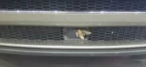 Sistemul autopilot al Tesla, dat peste cap de o insectă