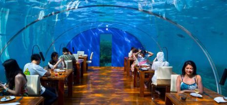 Restaurantul unde poți lua masa cu peștii