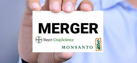 Bayer AG a depus oferta de preluare a Monsanto