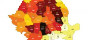 Greenpeace: Numărul cazurilor de tăieri ilegale înregistrate în 2015 a ajuns la aproape 100 pe zi