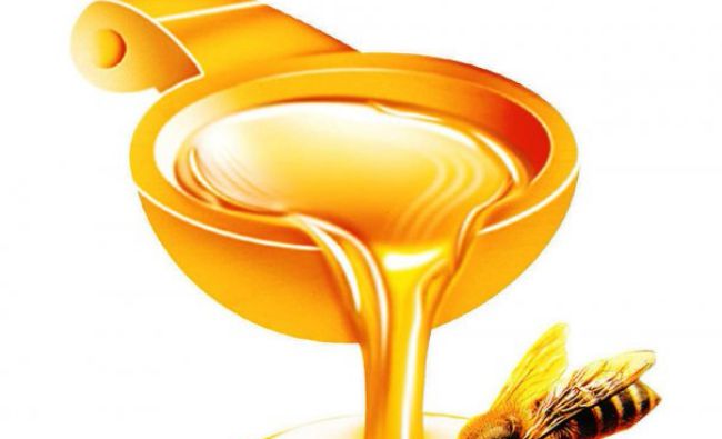 Cei mai mari producători de miere din lume