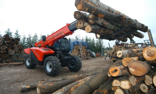 PIAROM: Cantitățile de lemn de foc consumate ar scădea cu 10% prin utilizarea biomasei