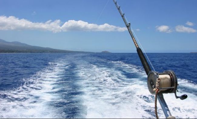 UE interzice pescuitul la o adâncime mai mare de 800 de metri