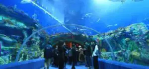 120 de metri sub mări la Shanghai