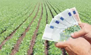 Ogoarele României, sub plugul străinilor