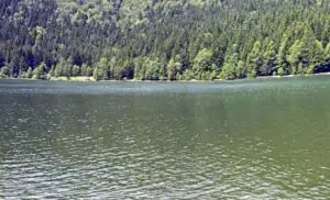 Vacanță în Ținutul Conacelor