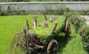 De azi poţi depune cereri de finanţare a investiţiilor neagricole din zona rurală. Tot ce trebuie să știi
