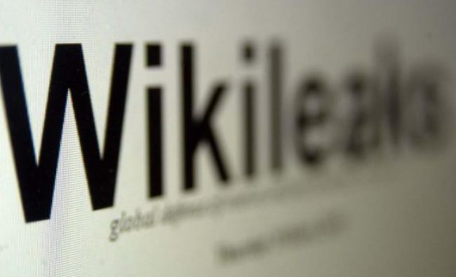 WikiLeaks va publica peste 100.000 de documente despre structura de putere din Turcia