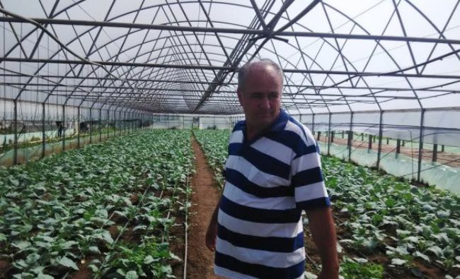 Povestea românului care livrează de 16 ani legume pentru hipermarketuri