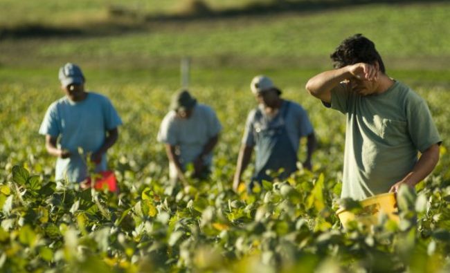 Comisia Europeană propune majorarea ajutoarelor de minimis pentru fermieri până la 25.000 de euro