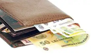 Curs BNR: Leul continuă să scadă în raport cu euro