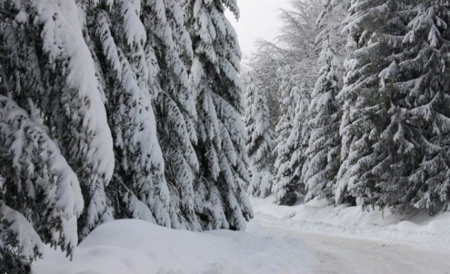 Alertă meteo ANM! Iarna a venit oficial în România. Zăpada s-a depus într-un strat gros