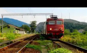 Trafic feroviar oprit după ce un copac a căzut peste linia ferată