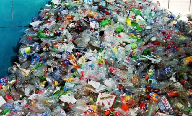 WWF: Marea Mediterană este invadată de plastic
