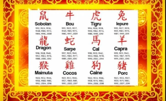 Zodiac chinezesc 2019! Ce aduce anul porcului pentru fiecare zodie. Cine sunt cei mai norocoși nativi