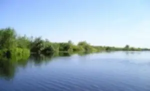 Soluția naturală pentru a face față inundațiilor: reconstrucția ecologică a luncii Dunării