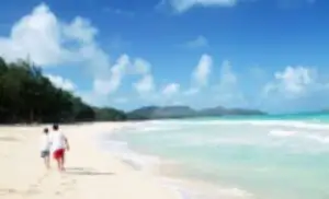 Vânzări cu 12% mai mari pentru agenţiile de turism