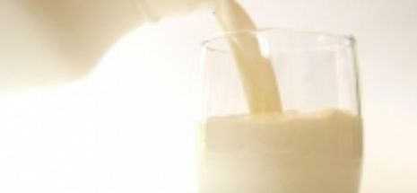 Berlinul promite ajutoare de cel puţin 100 milioane de euro pentru producătorii de lapte