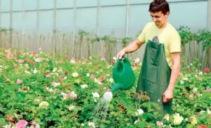 Ministerul Agriculturii achiziţionează servicii de consiliere pentru fermierii cu ferme mici