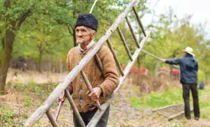 Doar o treime din populația rurală deține conturi bancare
