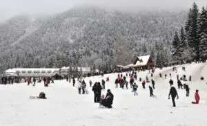 Blocaj în Poiana Brașov! Primăria Brașov, sfaturi șocante pentru turiști. Cum au rezolvat autoritățile problema aglomerației