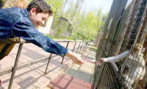 O americancă de 93 de ani donează Grădinii Zoologice din Koln suma de 22 de milioane de dolari