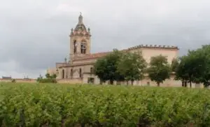 Chinezii beau tot mai mult vin de Bordeaux