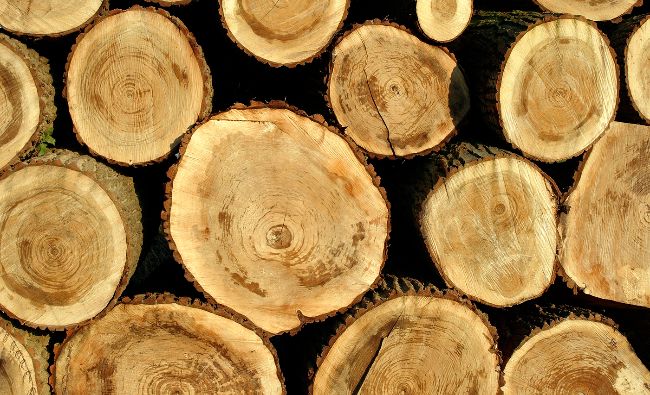 Cantitatea de lemn de foc vândută populaţiei pentru încălzire a crescut cu 20% în două luni
