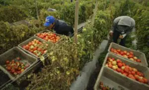 Baciu (LAPAR): Suntem scutul Europei, trebuie să cerem mai mulți bani