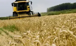 Ministerul Agriculturii dă gratis sute de milioane de euro! Care sunt cele mai căutate proiecte