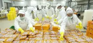 Cutremur în industria alimentară. Carnea făcută în laborator va deveni de bază
