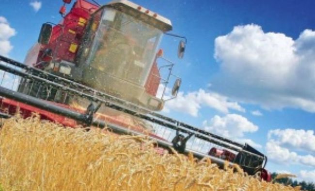 Ministrul Agriculturii: România a realizat anul acesta aproape 27 de milioane de tone de cereale