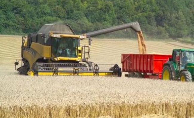 Avertisment dur de la Tăriceanu! Rezervele de grâu ale României au scăzut sub nivelul critic. Soluții pentru Guvern