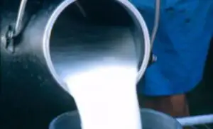 Bomba toxică din galantar! S-a dezvăluit adevărul despre lapte. Românii sunt somați să aibă grijă