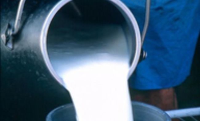 România a importat peste 86.000 tone de lapte