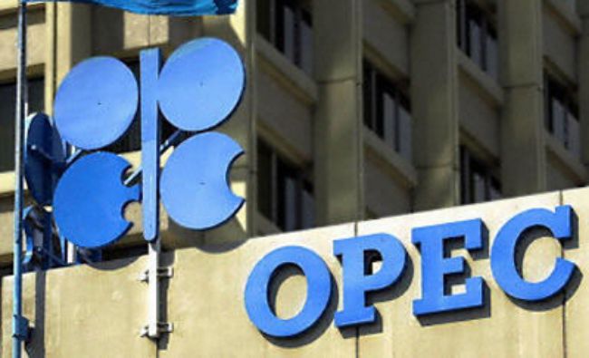 Oficialii OPEC au aprobat strategia pe termen lung a organizaţiei