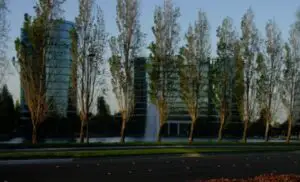 Oracle a anunțat o tehnologie care schimbă totul în domeniul bazelor de date