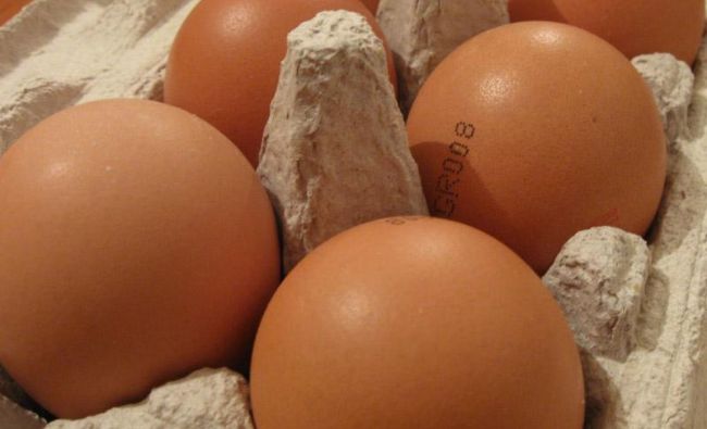 Preţul ouălor a scăzut cu 15-20% de la începutul anului