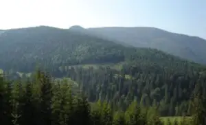 ADEVĂRUL despre România! Detalii INCREDIBILE au ieșit la iveală: E DEZASTRU!