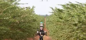 Într-un viitor apropiat, roboții  vor înlocui forța de muncă, iar mașinile vor genera 20% din conținutul de business