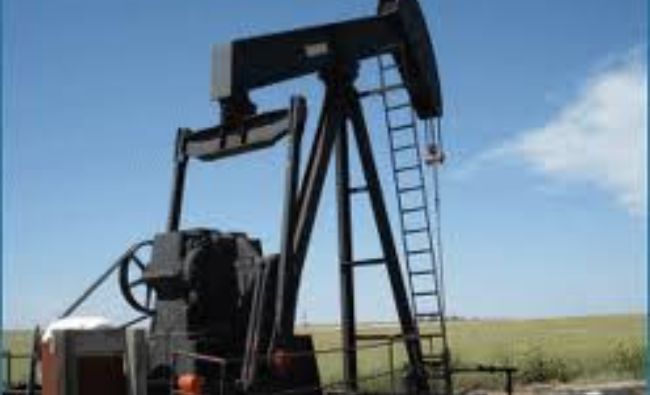 OPEC a îmbunătăţit estimările privind cererea de ţiţei