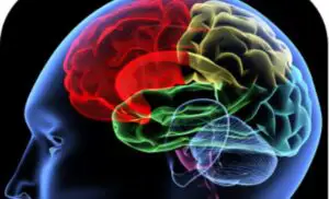 Cum se va schimba lumea: Implantul cerebral care anunță armata viitorului