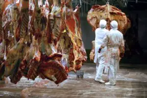 Constantin:”Nu există probe sau indicii că falsul privind etichetarea cărnii de cal s-ar fi produs în România”