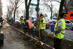 ANOFM: Peste 6.400 locuri de muncă vacante