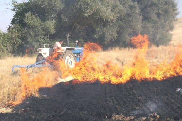Avertisment pentru agricultori: Arderea miriştilor atrage pierderea unei părţi din subvenţia europeană