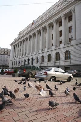 La nici o lună de credite pe norme noi, bancherii cer modificarea regulamentului de creditare