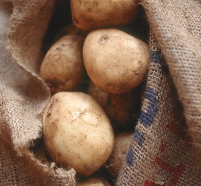 Un milion tone de cartofi româneşti ar putea ajunge la gunoi. În supermarketuri au loc doar cartofii de import