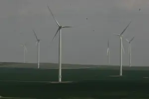 Parc eolian în Tulcea acoperă nevoia de electricitate a 66.000 gospodării