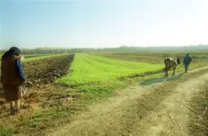 Arendaşii care preiau un teren agricol pentru 50 ani ar putea beneficia de o primă de la stat