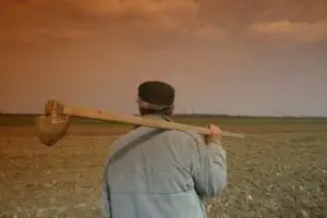 România, codaşa Europei în clasamentul absorbţiei fondurilor pentru dezvoltare rurală